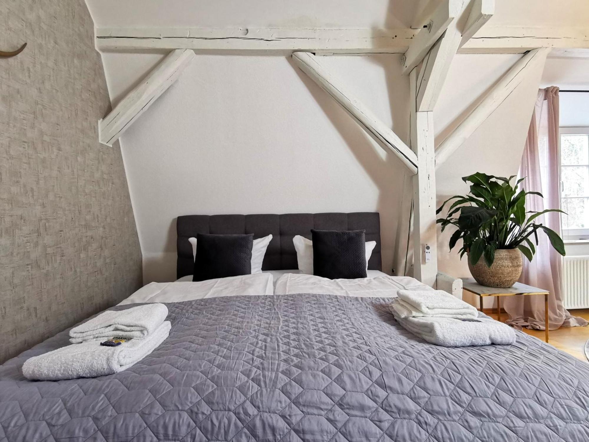 Bohnapartments Steigerwald - Natur In Der Stadt - Vollausstattung - Wlan - Gratis Parkplaetze エアフルト エクステリア 写真
