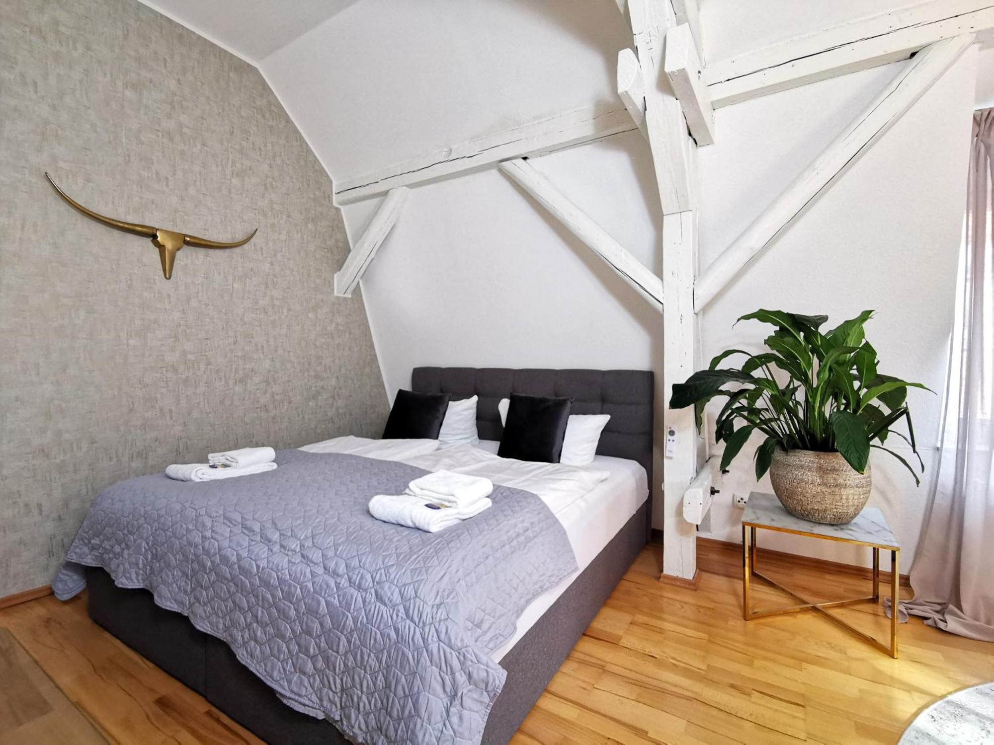 Bohnapartments Steigerwald - Natur In Der Stadt - Vollausstattung - Wlan - Gratis Parkplaetze エアフルト エクステリア 写真